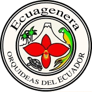 Ecuagenera, Orquideas del Ecuador